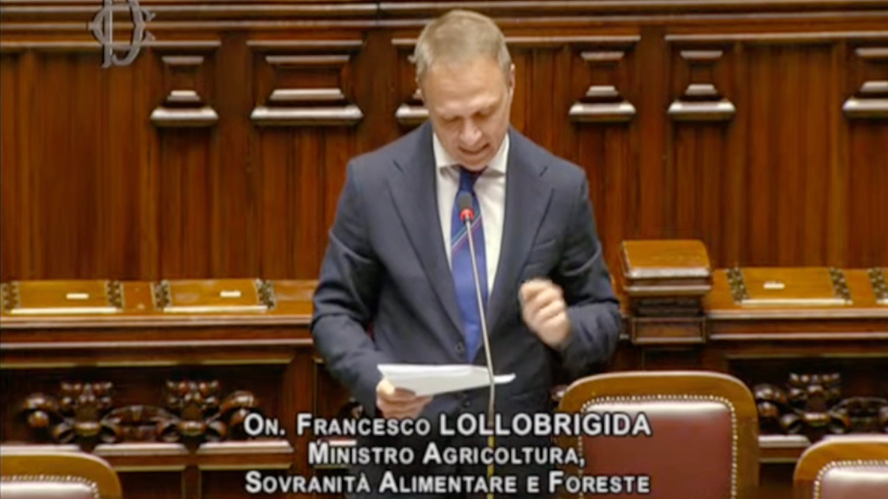 Question Time Del Ministro Lollobrigida Alla Camera Dei Deputati