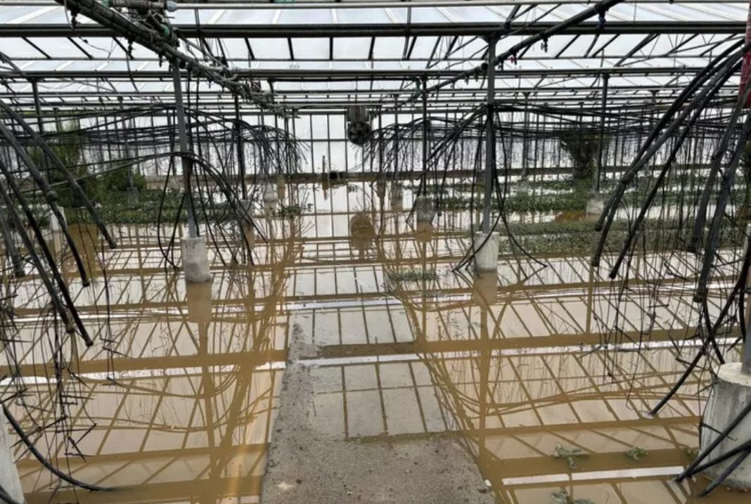 Flooded greenhouse interior with a water-filled floor, tangled cables and exposed metal framework after damage or heavy rain.