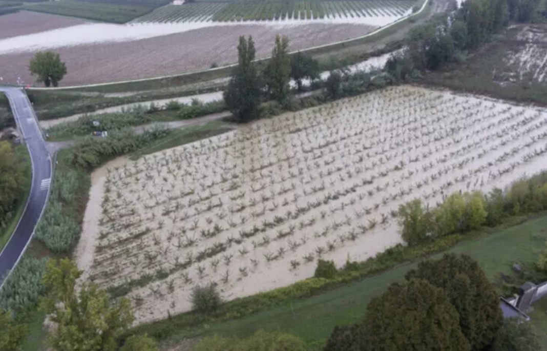 agricoltura