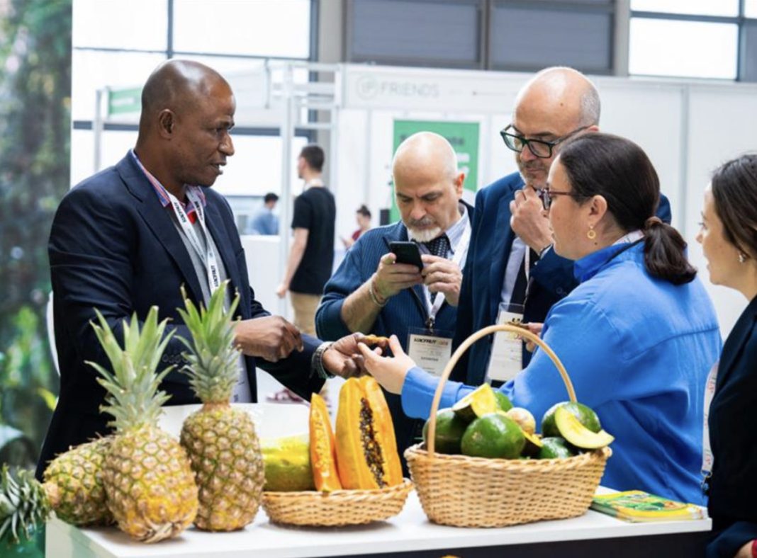 macfrut