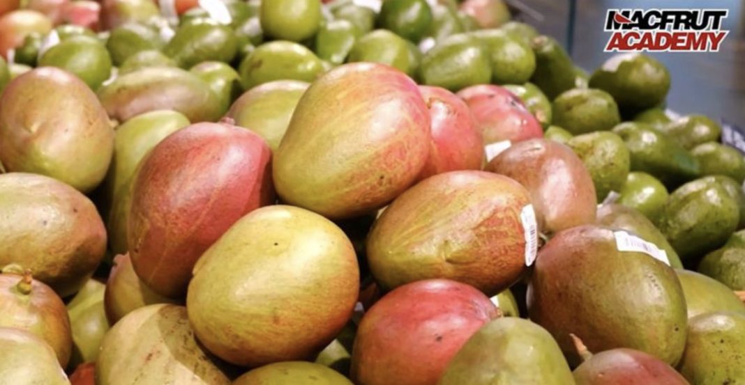 Pile of ripe mangoes with yellow-red skin in a market display; Nacfruit Academy logo top right.