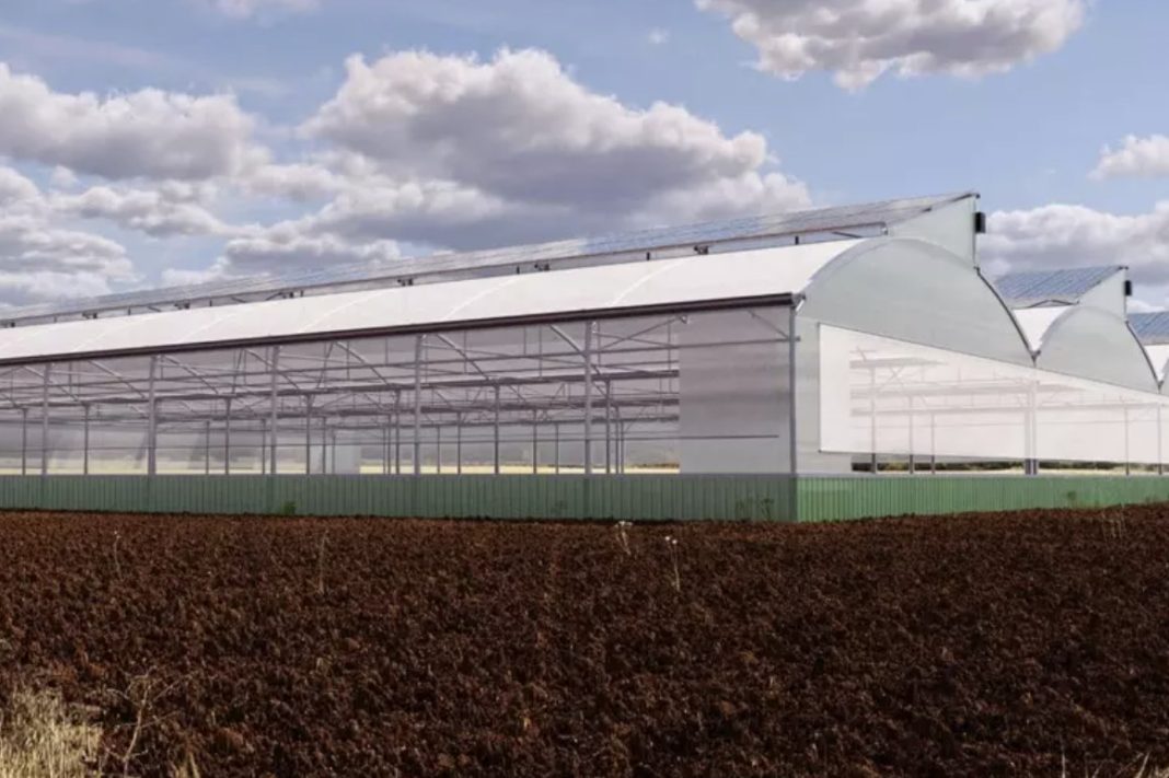 Large greenhouse with curved roofs and a metal frame, behind a green fence on a plowed brown field under a cloudy sky.