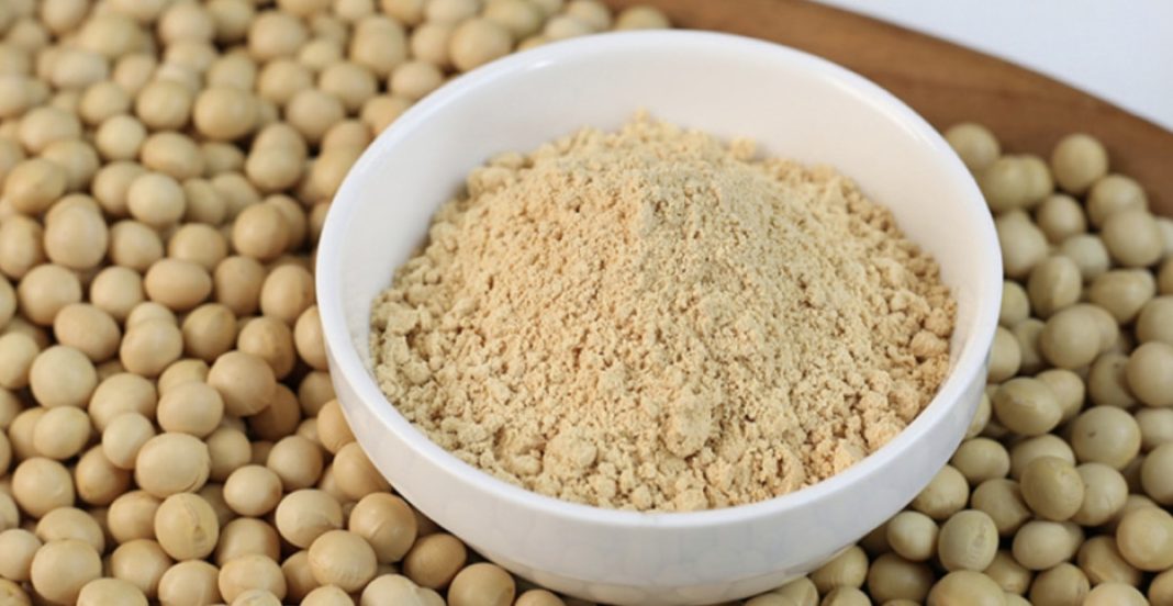 Powdered soy flour in a white bowl surrounded by soybeans on a wooden surface.