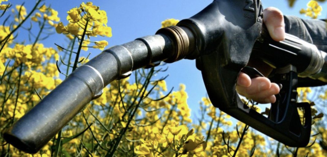 Gasoline pump nozzle held by a hand with bright yellow flowers in the background.